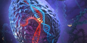 Beitragsbild des Blogbeitrags CRISPR bekämpft Lungenkrebs ab August 2016