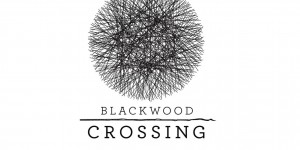 Beitragsbild des Blogbeitrags gamescom 2016: Blackwood Crossing in neuem Trailer vorgestellt 
