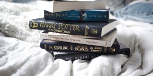 Beitragsbild des Blogbeitrags Magic of reading – Winteredition