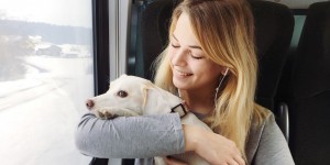 Beitragsbild des Blogbeitrags Meine Lieblinge – Woche 5 