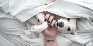 Beitragsbild des Blogbeitrags Erinnerungen aus New York, die bleiben.