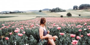 Beitragsbild des Blogbeitrags Meine Lieblinge – Woche 26
