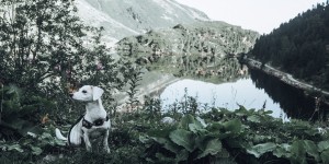 Beitragsbild des Blogbeitrags Meine Lieblinge – Woche 32