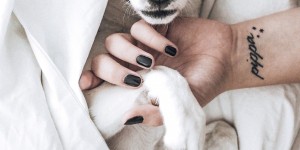 Beitragsbild des Blogbeitrags Meine Lieblinge – Woche 40