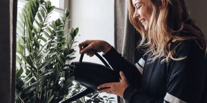 Beitragsbild des Blogbeitrags Mein Dschungel – Grüne Zimmerpflanzen Liebe
