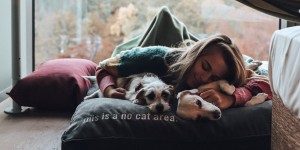 Beitragsbild des Blogbeitrags Mit Hund in Berlin – wie das so funktioniert hat.