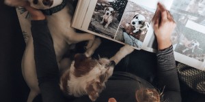 Beitragsbild des Blogbeitrags Erinnerungen.
