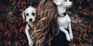 Beitragsbild des Blogbeitrags 2018 – du warst nicht so ganz mein Jahr. 