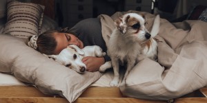 Beitragsbild des Blogbeitrags Meine kleine Familie
