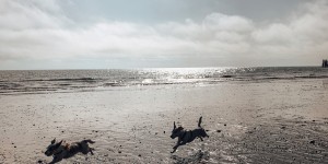 Beitragsbild des Blogbeitrags Südengland mit dem Campingbus