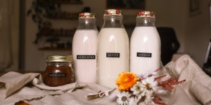 Beitragsbild des Blogbeitrags Pflanzendrinks selbst herstellen – 3 Varianten