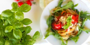Beitragsbild des Blogbeitrags Zucchini-Karottennudeln mit Tomatensoße