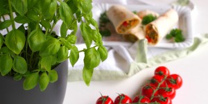 Beitragsbild des Blogbeitrags vegane Wraps mit Couscous und Gemüse 