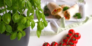 Beitragsbild des Blogbeitrags vegane Wraps mit Couscous und Gemüse