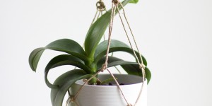 Beitragsbild des Blogbeitrags we love handmade: Unsere Makramee DIYs