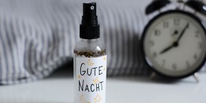 Beitragsbild des Blogbeitrags Beauty DIY: Kissenspray