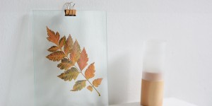 Beitragsbild des Blogbeitrags DIY: Herbstblätter im Glas-Bilderrahmen 