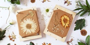 Beitragsbild des Blogbeitrags we love Inspiration: Blumen pressen 