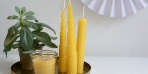 Beitragsbild des Blogbeitrags DIY: Bienenwachskerzen rollen