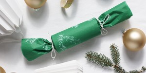 Beitragsbild des Blogbeitrags DIY: Geschenkpapier mit Tannenzweig bedrucken