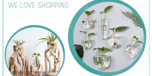 Beitragsbild des Blogbeitrags we love Shopping: Hydrokultur 