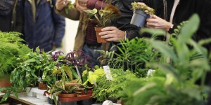 Beitragsbild des Blogbeitrags Nachbericht: Impressionen von unserem ersten PlantFest in Wien