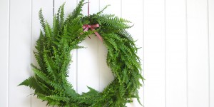 Beitragsbild des Blogbeitrags DIY: Türkranz aus Farn