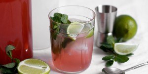 Beitragsbild des Blogbeitrags Drink: Moscow Mule mit selbst gemachtem Rosen-Ginger-Beer 