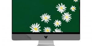 Beitragsbild des Blogbeitrags März 2020-Wallpaper: Margeriten
