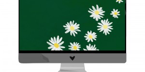 Beitragsbild des Blogbeitrags März-Wallpaper: Margeriten 