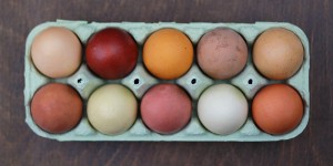 Beitragsbild des Blogbeitrags we love handmade GUIDE: Ostereier natürlich färben – so geht’s!