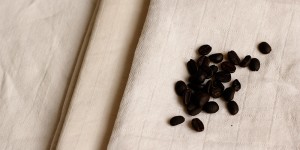 Beitragsbild des Blogbeitrags DIY: Stoff färben mit Kaffeebohnen 