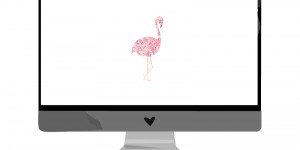 Beitragsbild des Blogbeitrags Juni-Wallpaper: Flamingo 