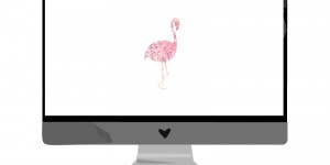 Beitragsbild des Blogbeitrags Juni-Wallpaper: Flamingo