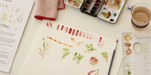 Beitragsbild des Blogbeitrags Juni-Termine: Spaziergänge, Führungen und Workshops