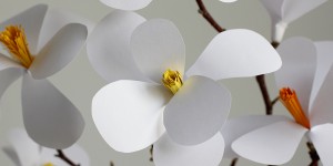 Beitragsbild des Blogbeitrags DIY: Magnolien aus Papier selbermachen 