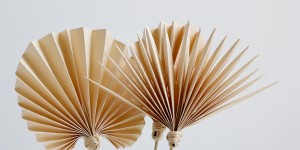 Beitragsbild des Blogbeitrags DIY: Palmwedel als Cocktailstab