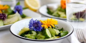 Beitragsbild des Blogbeitrags Rezept: Grüner Sommersalat mit essbaren Blüten