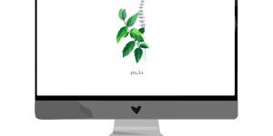 Beitragsbild des Blogbeitrags Jänner-Wallpaper: Minze