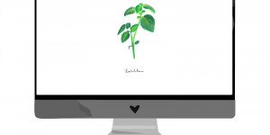 Beitragsbild des Blogbeitrags April-Wallpaper: Basilikum