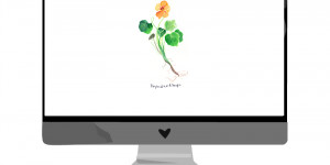 Beitragsbild des Blogbeitrags Mai-Wallpaper: Kapuzinerkresse