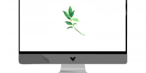 Beitragsbild des Blogbeitrags Juli Wallpaper: Lorbeer