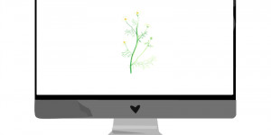 Beitragsbild des Blogbeitrags August-Wallpaper: Kamille