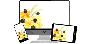 Beitragsbild des Blogbeitrags September-Wallpaper: Herbstblumen 