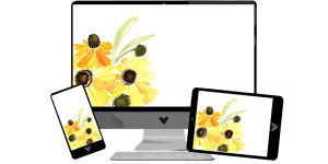 Beitragsbild des Blogbeitrags September-Wallpaper: Herbstblumen
