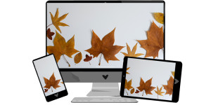 Beitragsbild des Blogbeitrags November-Wallpaper: Herbstblätter