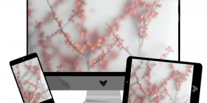 Beitragsbild des Blogbeitrags Dezember-Wallpaper: Ilex (Stechpalme)