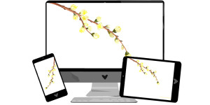 Beitragsbild des Blogbeitrags März-Wallpaper: Blütenzweig 