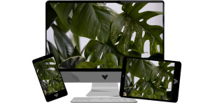 Beitragsbild des Blogbeitrags April-Wallpaper: Urban Jungle