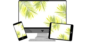 Beitragsbild des Blogbeitrags Juli-Wallpaper: Palmenblätter
